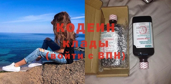 ГАЛЛЮЦИНОГЕННЫЕ ГРИБЫ Каменка