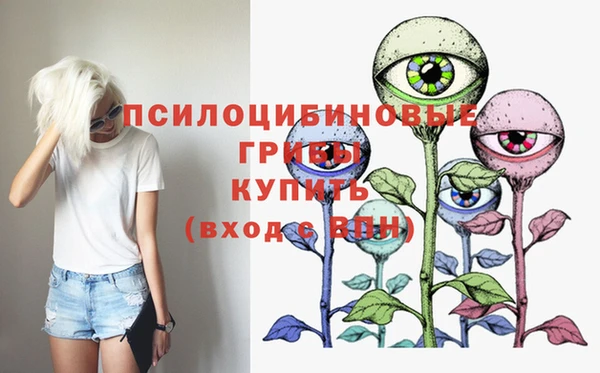 ГАЛЛЮЦИНОГЕННЫЕ ГРИБЫ Каменка