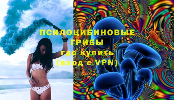 ГАЛЛЮЦИНОГЕННЫЕ ГРИБЫ Каменка