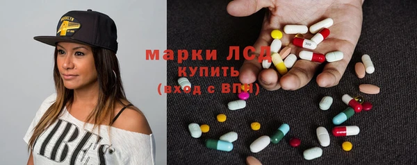 ГАЛЛЮЦИНОГЕННЫЕ ГРИБЫ Каменка