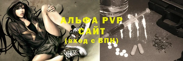 ГАЛЛЮЦИНОГЕННЫЕ ГРИБЫ Каменка