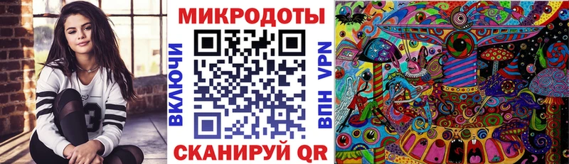 Псилоцибиновые грибы Cubensis Бийск